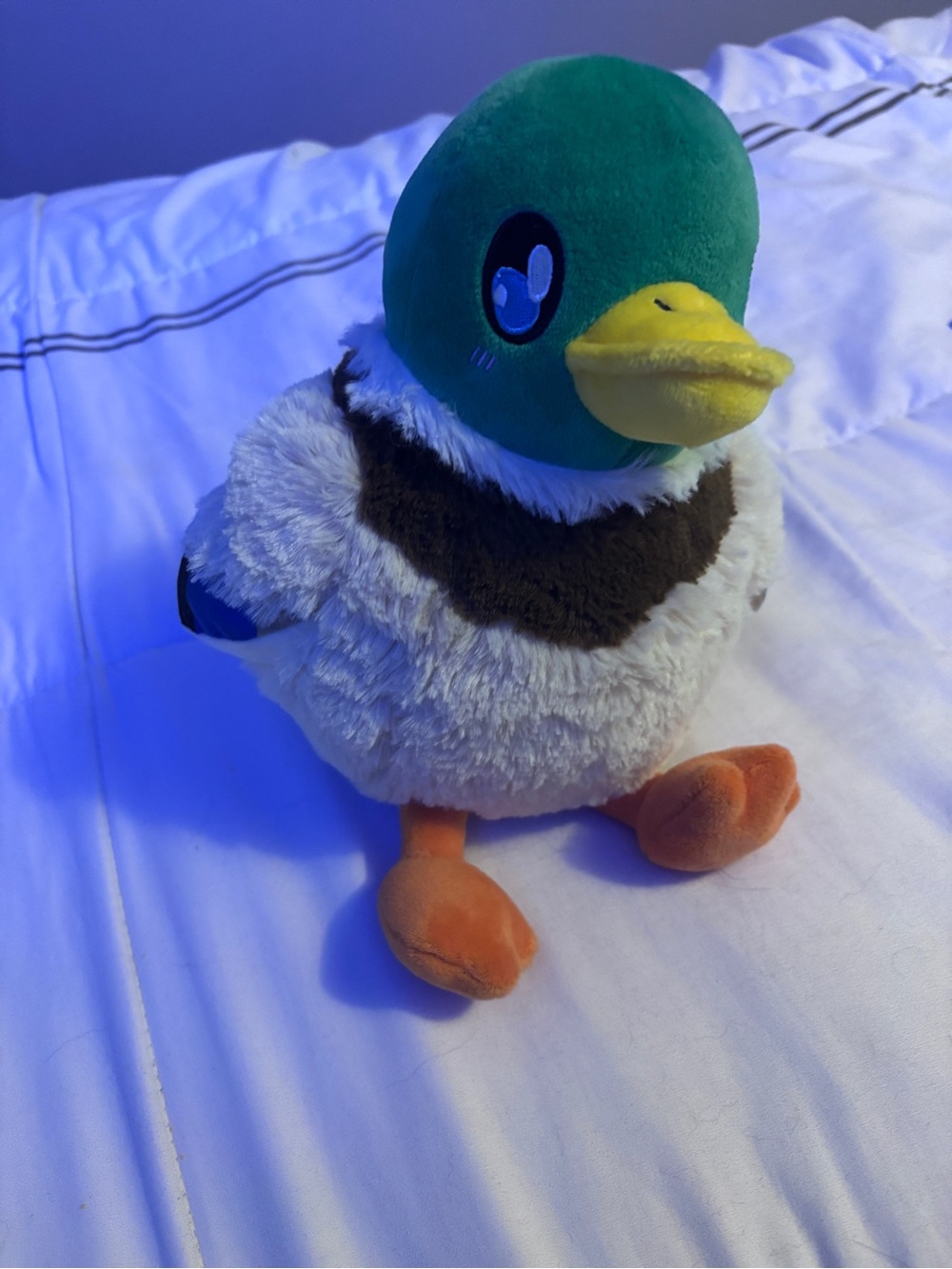 Mini Squishable Mallard Duck